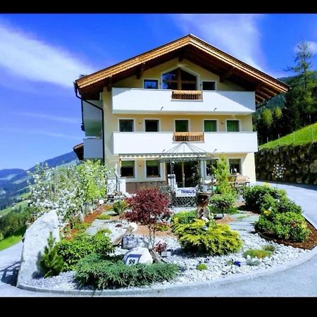 Ferienwohnungen Hinterstein Харт-им-Циллерталь Экстерьер фото